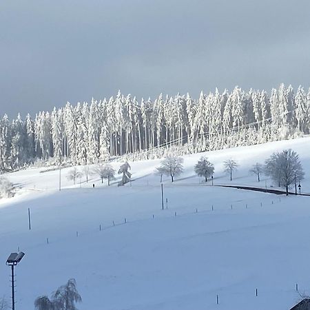 Апартаменти Im Salzgassle Schonach im Schwarzwald Екстер'єр фото